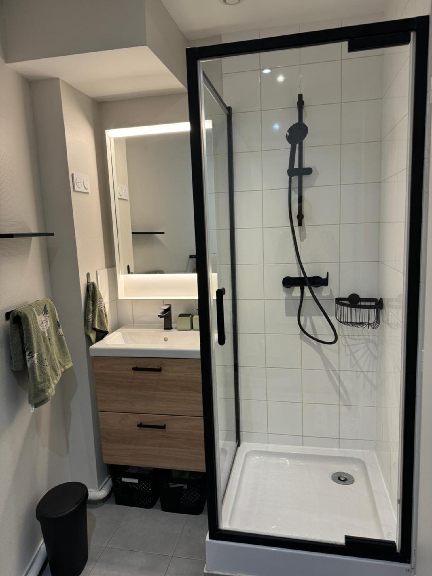 ליון Appartement Avec Une Chambre מראה חיצוני תמונה